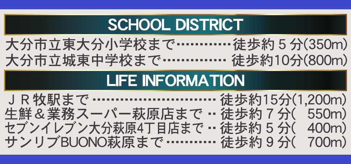 nbd_20251028115154_6の写真